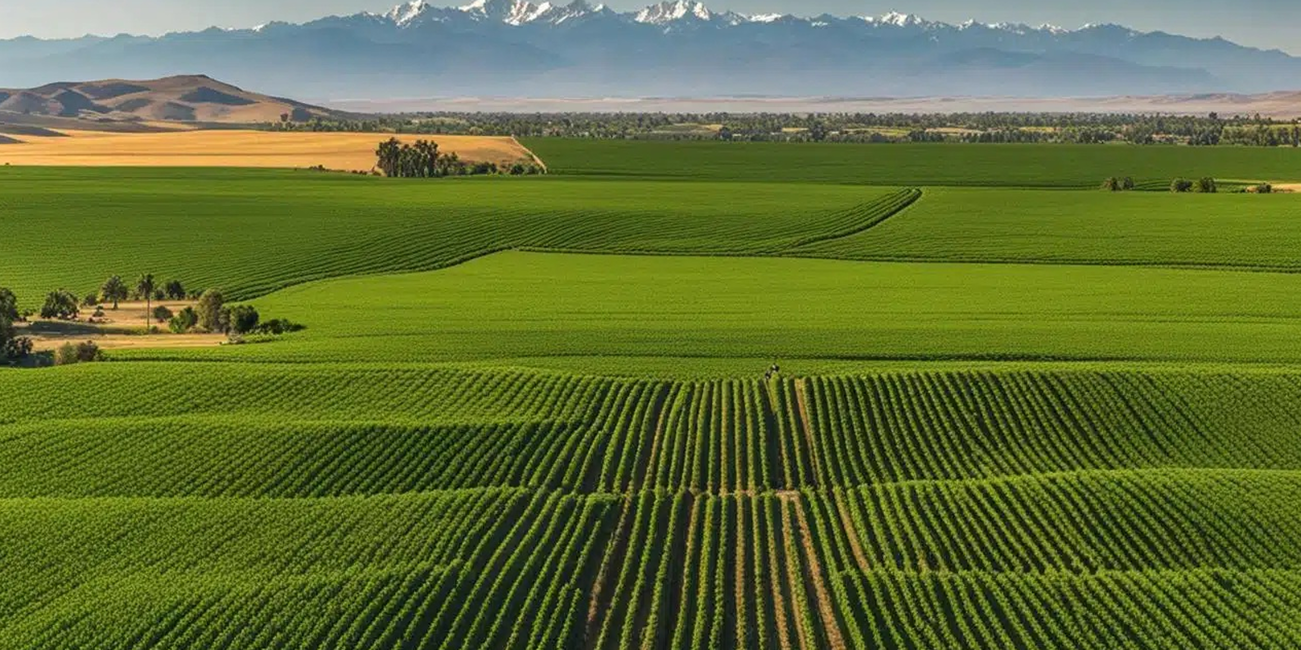 Milliy qishloq xo'jaligi ekspert brendi