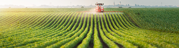 Quva Agro Star — qishloq xo'jaligi