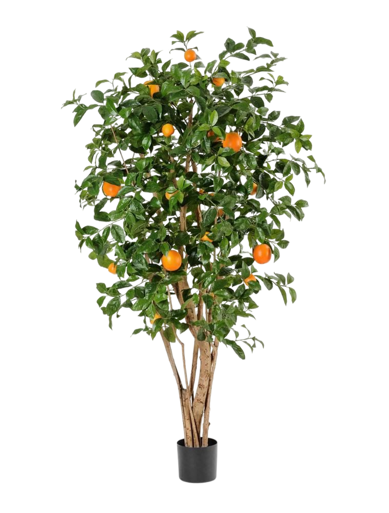 № 652 product image