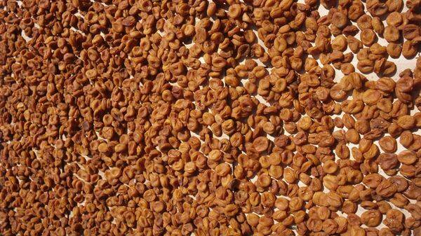 Quritilgan o'rik image