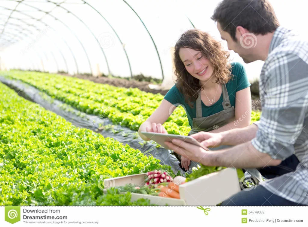 Аграном хизмати 