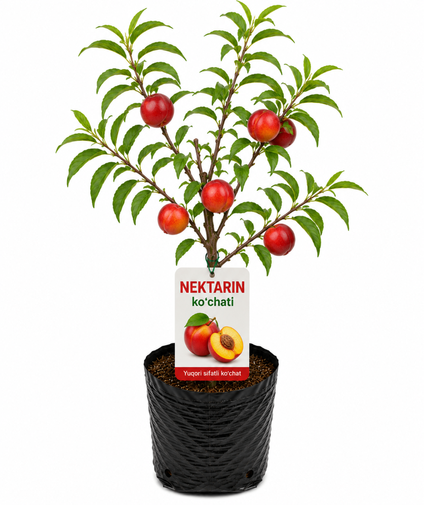 № 610 product image