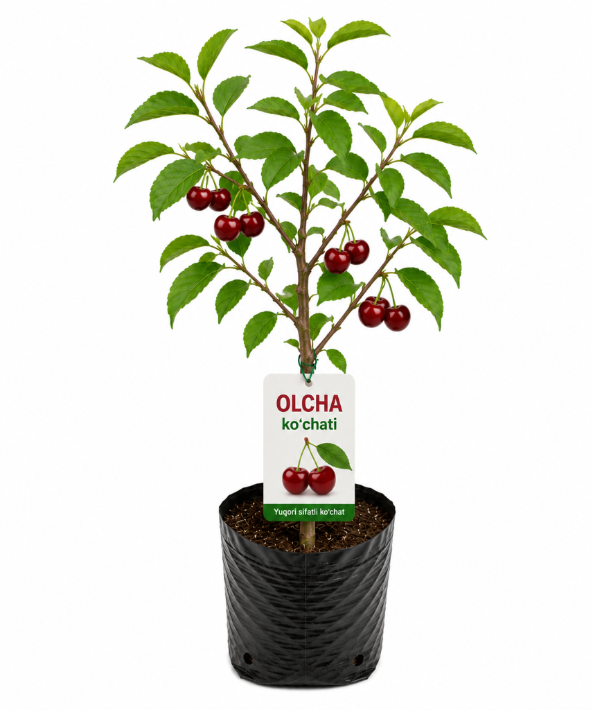 № 607 product image