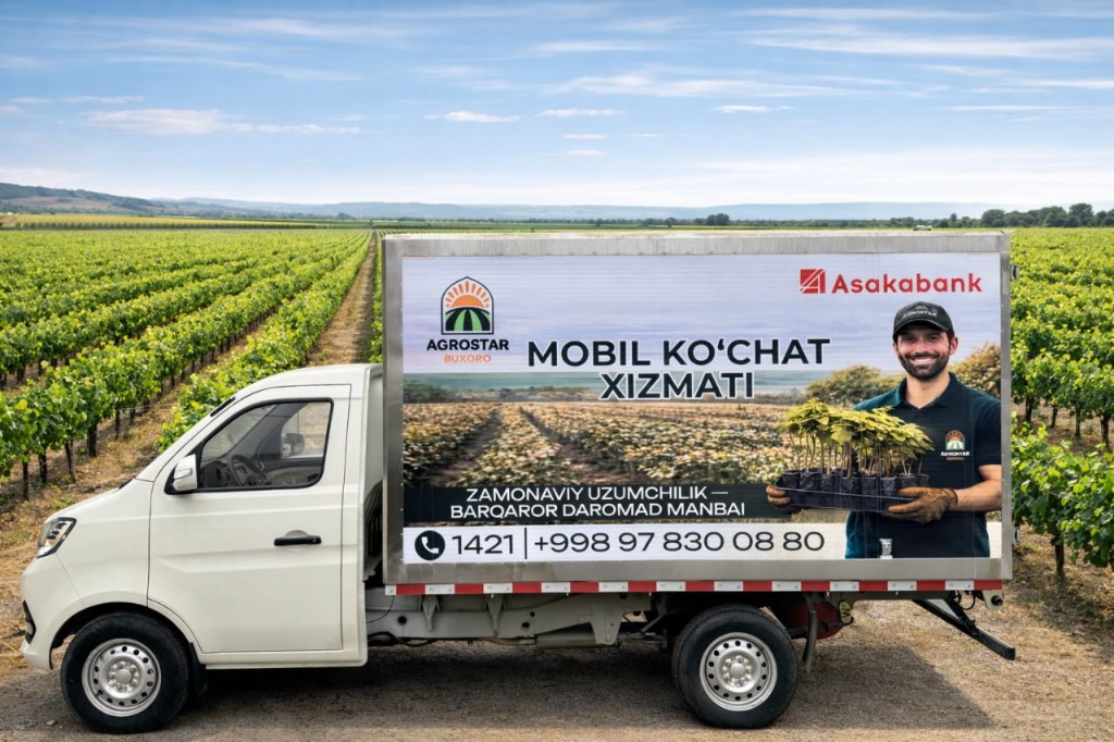 Mevalar ko'chatlar image