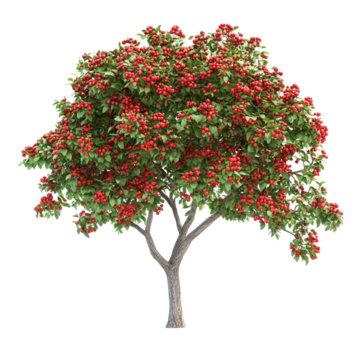 № 596 product image