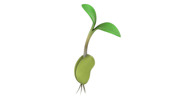 № 757 product image