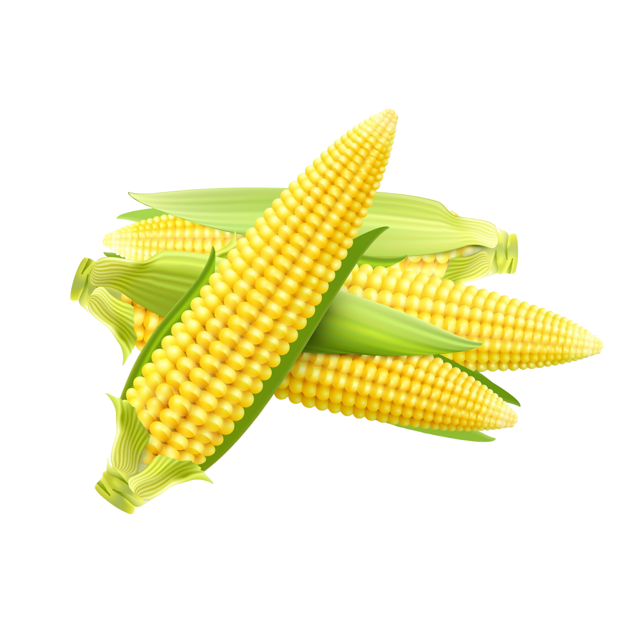 № 744 product image