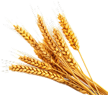 № 743 product image