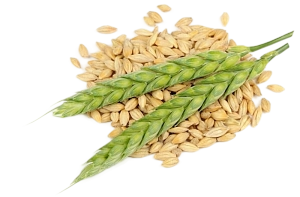 № 762 product image