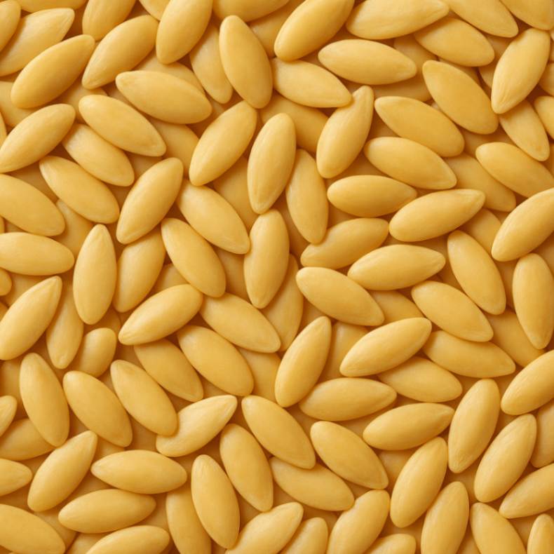 Rezavorlar urug'lari image