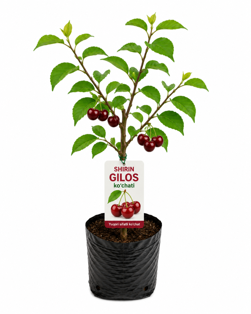 № 609 product image