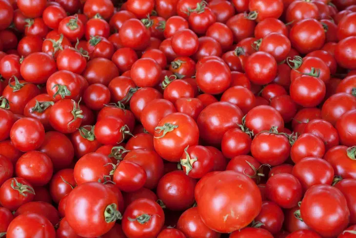 Pomidor image