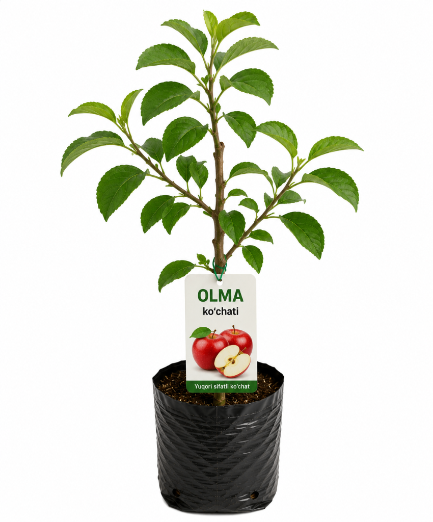 № 605 product image