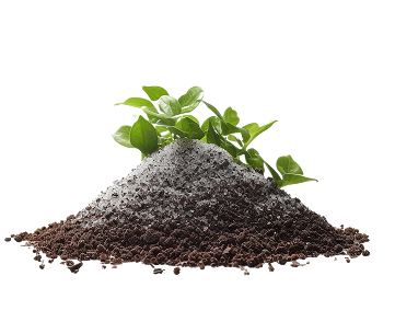 № 216 product image