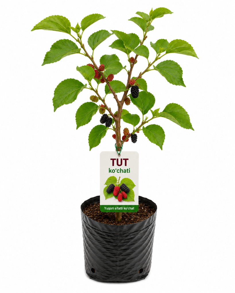 № 613 product image