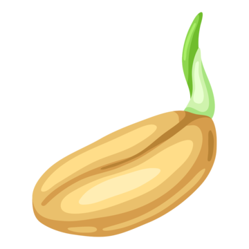 № 781 product image