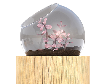 № 300 product image