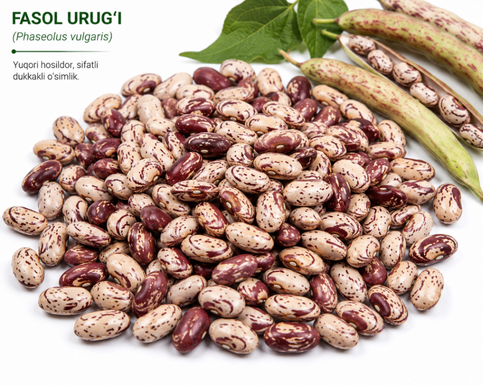 № 935 product image
