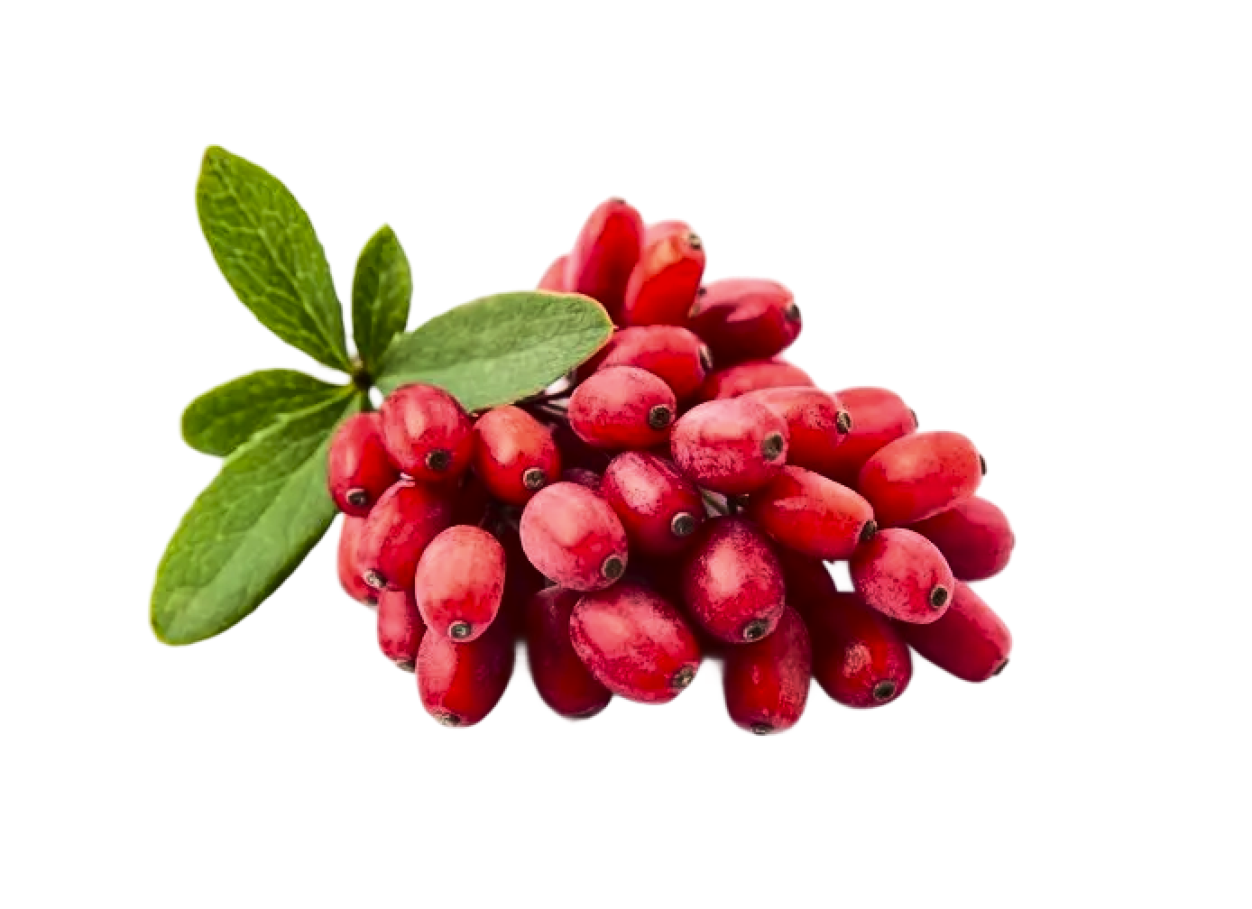 № 1172 product image