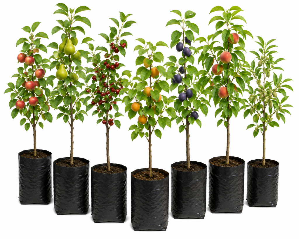 № 601 product image