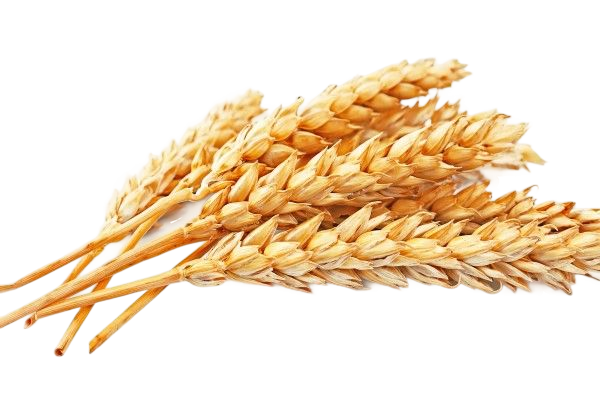 № 745 product image