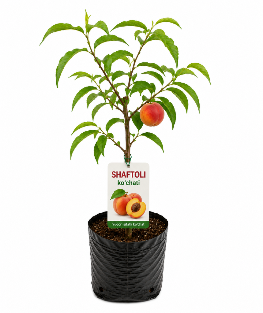 № 611 product image