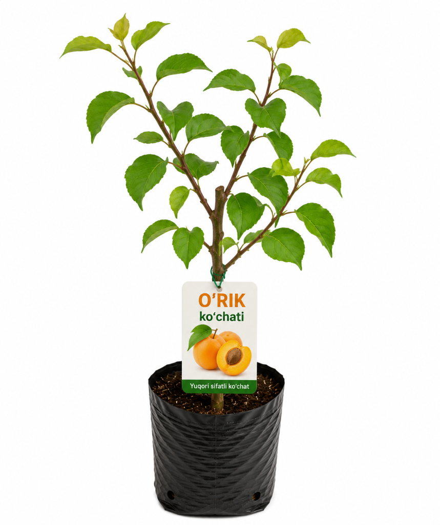 № 606 product image
