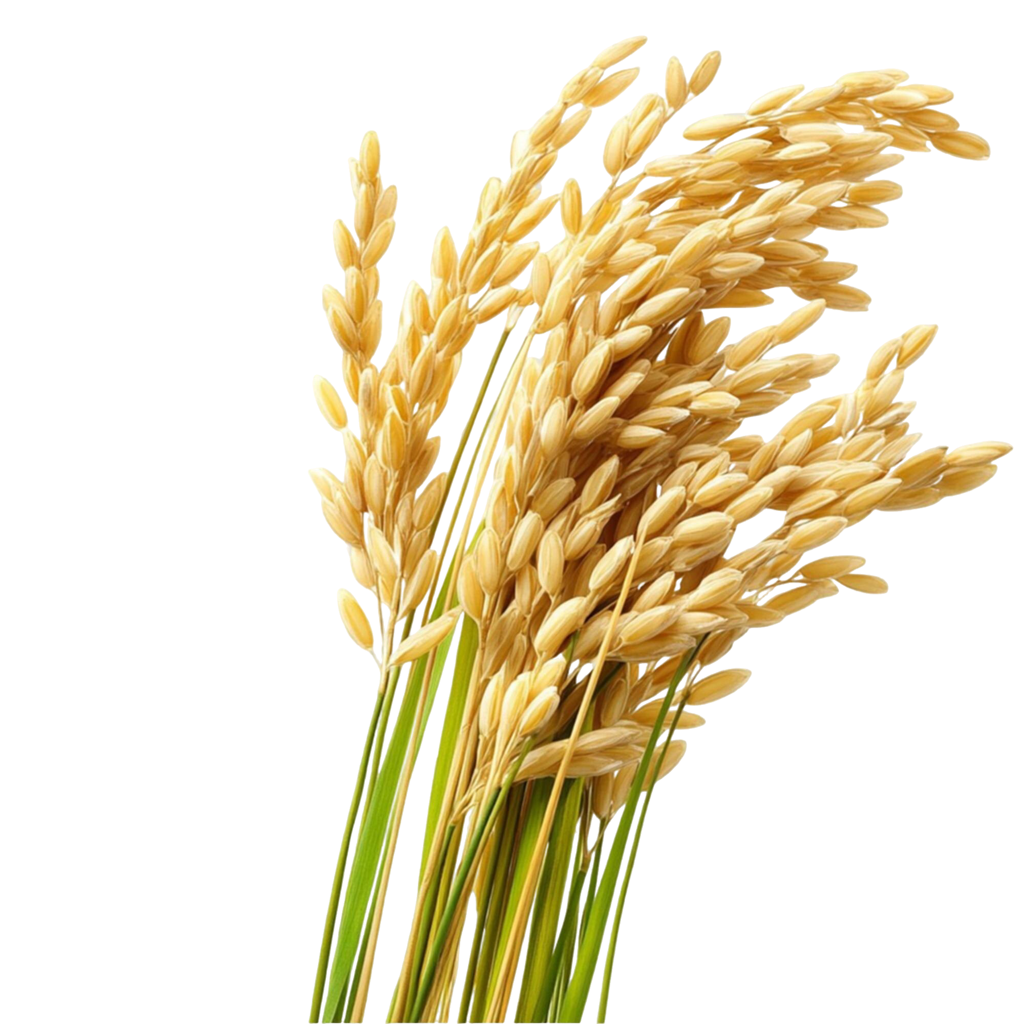 № 750 product image