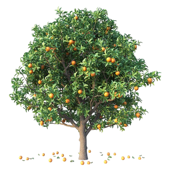 № 646 product image