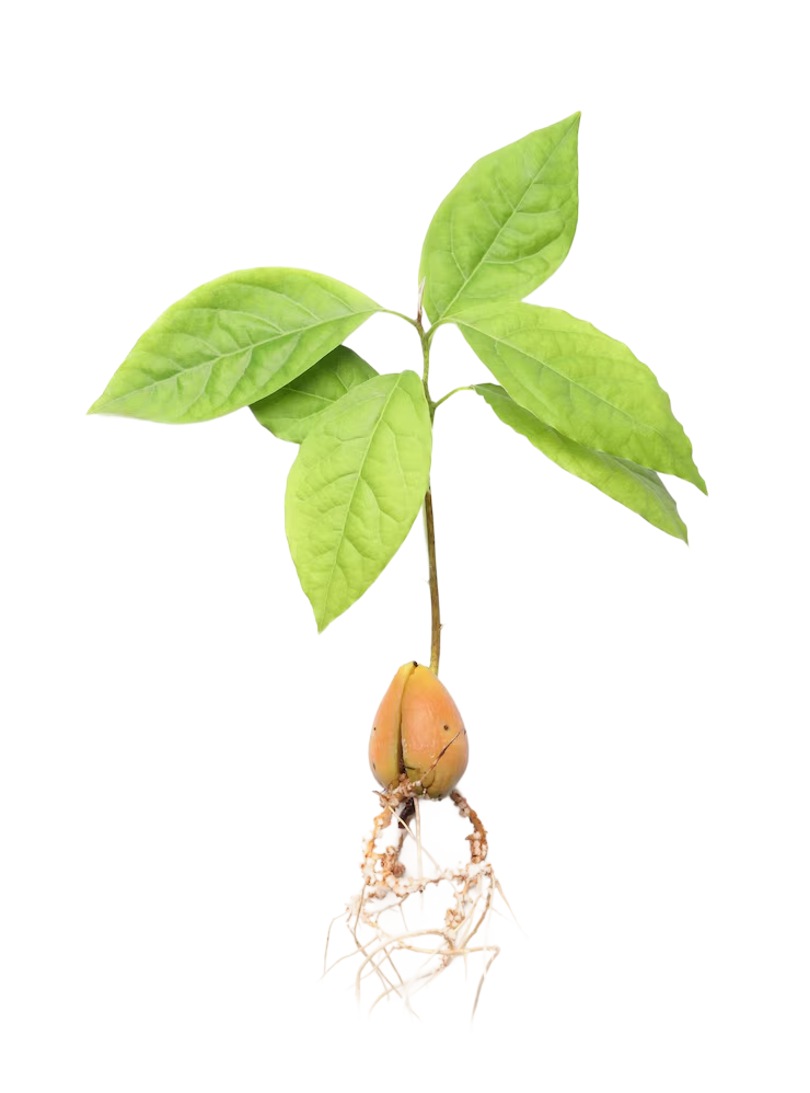 № 600 product image