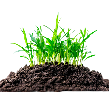 № 195 product image