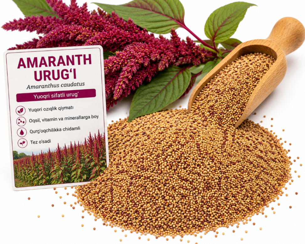 № 773 product image