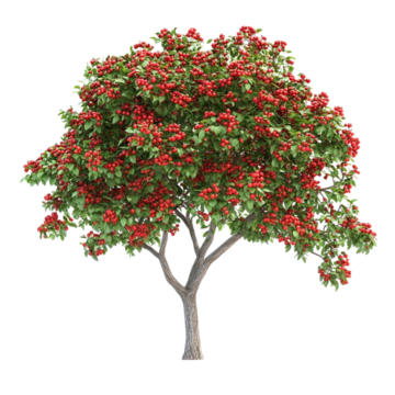 № 617 product image