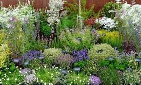 № 46 product image