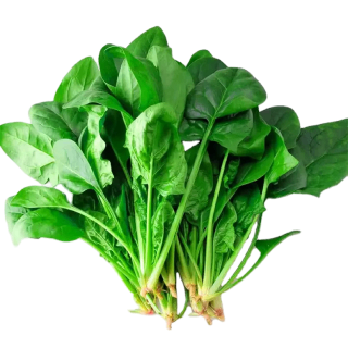 № 40 product image