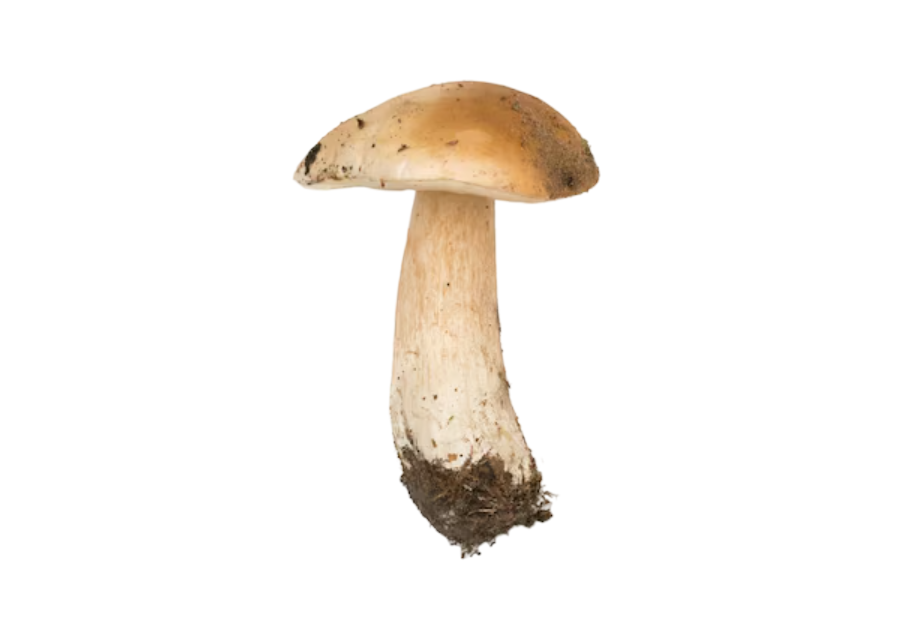 № 700 product image