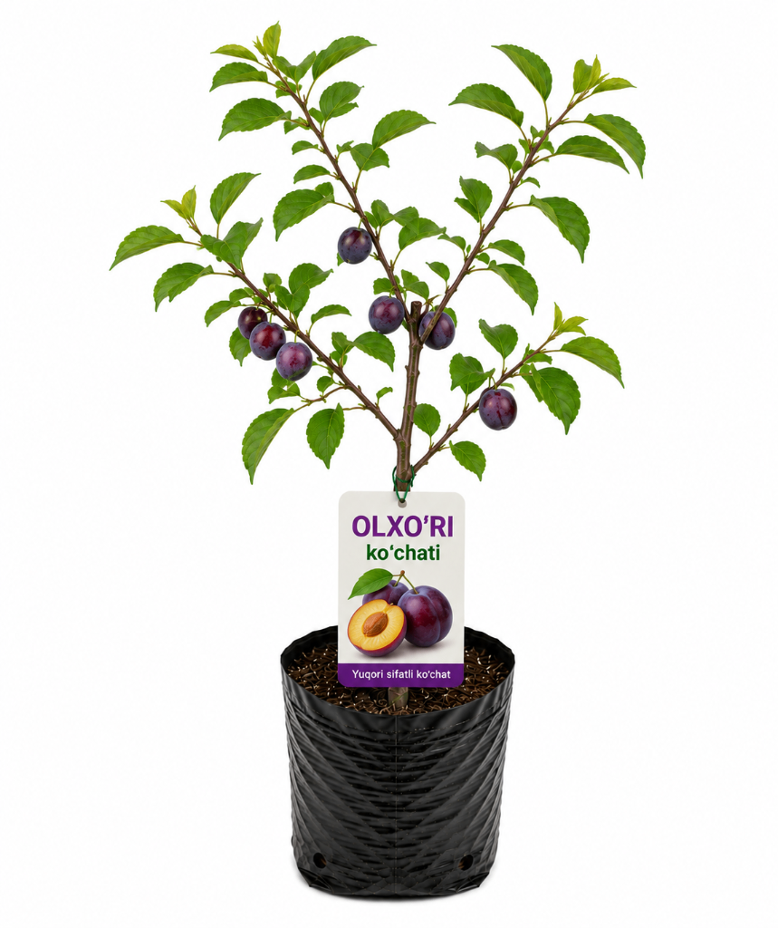 № 608 product image