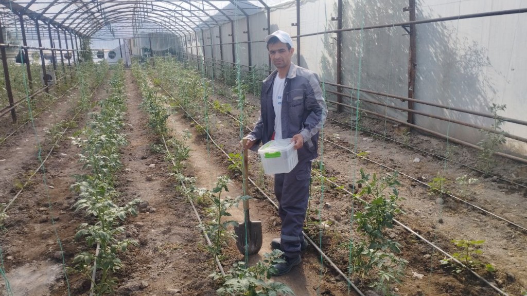 Тупроқ тахлили қилиш хизмати