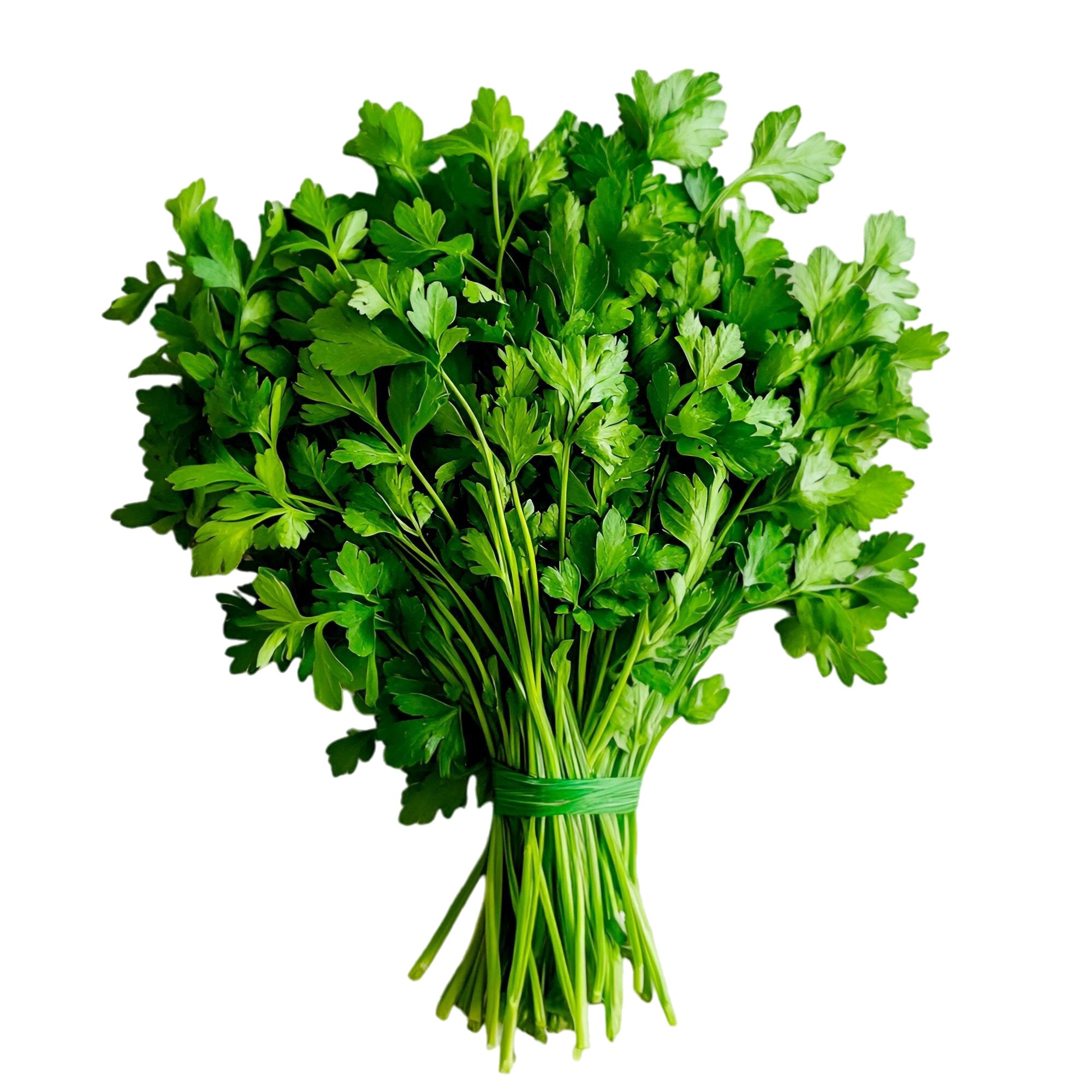 № 1164 product image