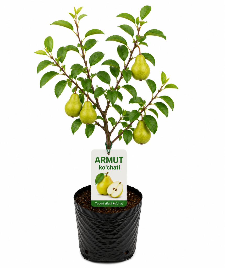 № 604 product image
