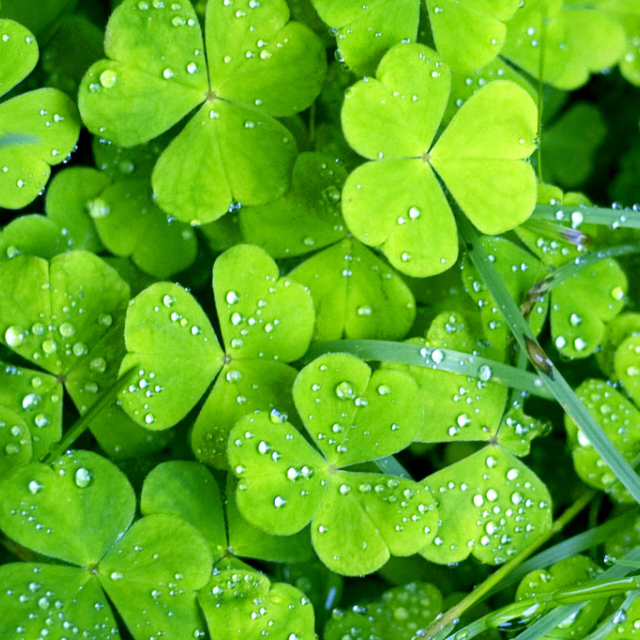 № 2001 product image