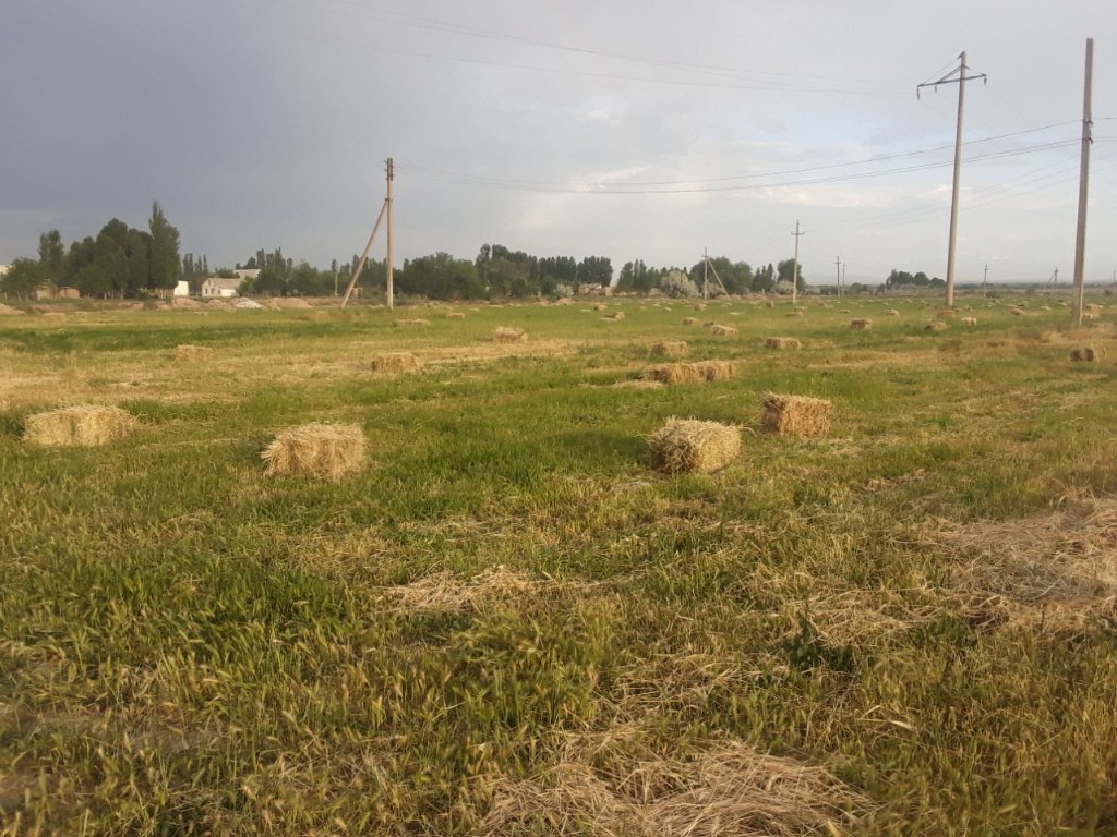 Qishloq xo'jaligi hayvonlari image