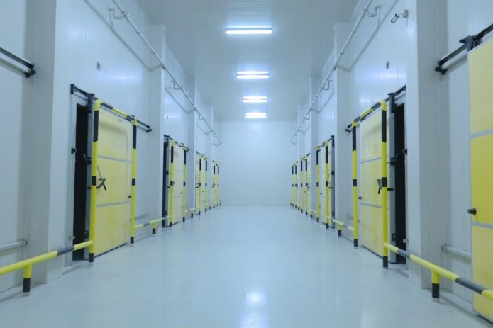 Uzum va boshqa mevalarni muzlatgich omboriga taxlash