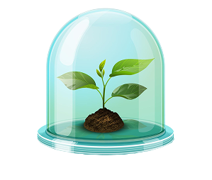 № 287 product image