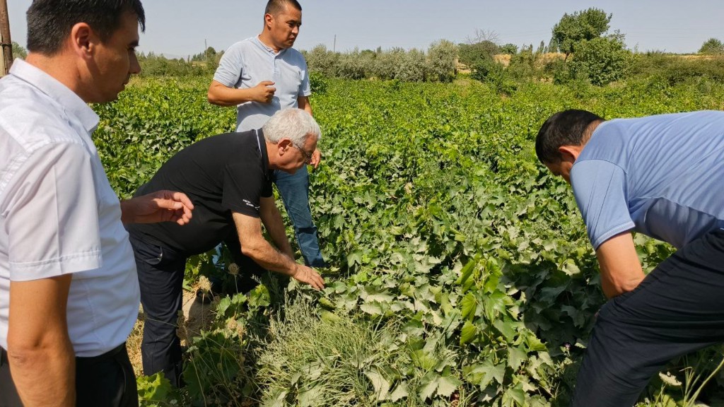 Аграном хизмати