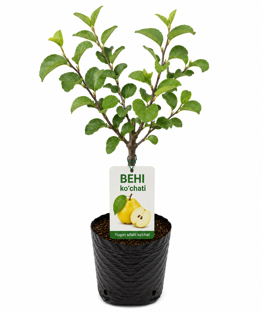 № 612 product image