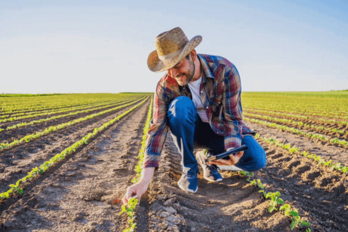 Малакали агроном
