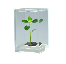 № 281 product image