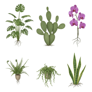 № 46 product image