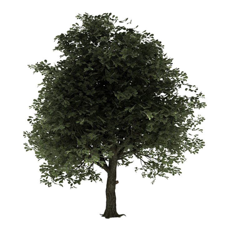 № 664 product image